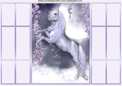 Beautiful White Horse in Twilight Scene, French Gatefold