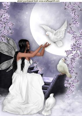Pretty Fairy, and Doves in Twilight Scene A4