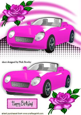 My Pink Baby, with Pink Rose
