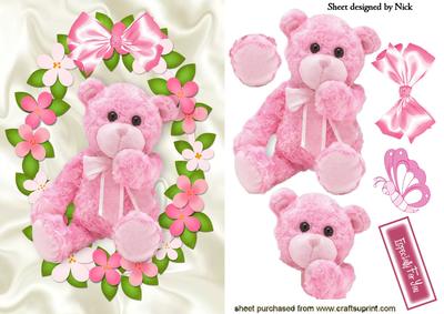 Pink Cuddly Teddy in Flower Frame