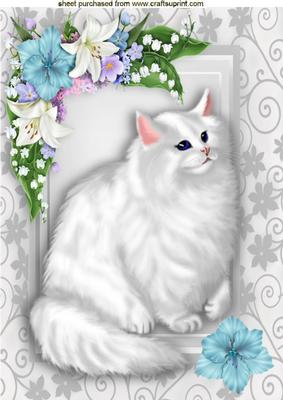 Beautiful White Persian Cat in Flower Frame A4