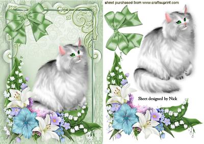 Persian Grey Cat in Flower Frame with Bow