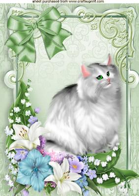 Grey Persian in Frame of Flowers A4