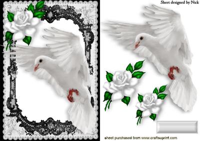 Beautiful White Dove in Flight with White Roses