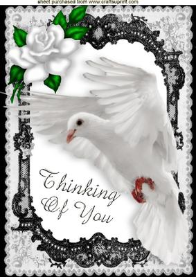 With Sympathy, Thinking of You, Dove in Flight A4