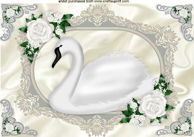 White Swan on Satin with White Roses A4