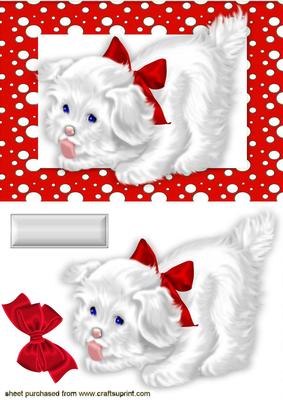 Little White Puppy in Red Spotty Frame