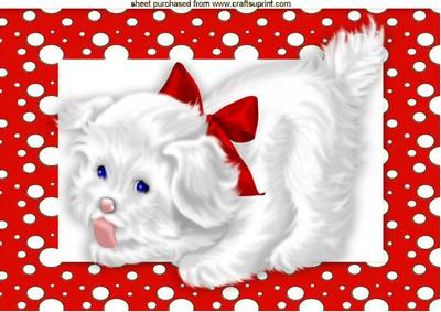 Little White Puppy in Red Spotty Frame A4