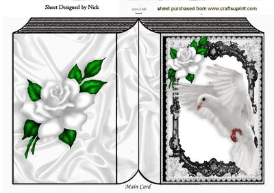 Beautiful White Dove in Black Lace Frame with Rose Book