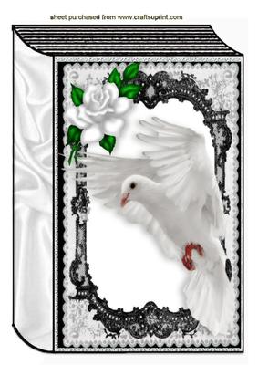 Beautiful White Dove in Lace Frame with White Rose A4 Book