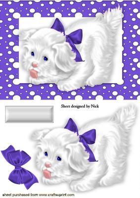 Little White Puppy in Purple Spotty Frame