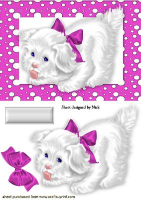 Little White Puppy in Cerise Spotty Frame with Bow