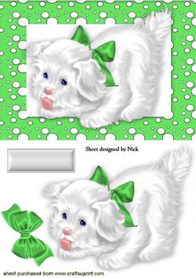 Little White Puppy in Green Spotty Frame with Bow