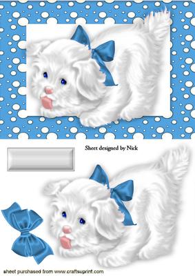 Little White Puppy in Turq Spotty Frame with Bow