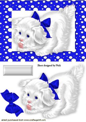 Little White Dog in Blue Spotty Frame with Bow