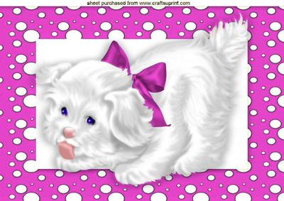 Cute White Puppy in Cerise Dotty Frame A4