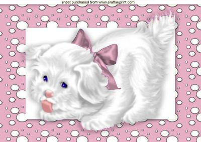 Cute White Puppy in Pink Dotty Frame A4