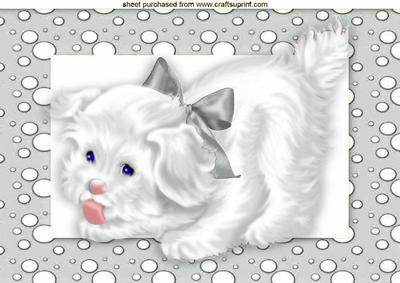 Cute Little White Puppy in Silver Dotty Frame A4