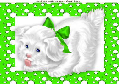 Cute Little White Puppy in Green Spotty Frame A4