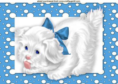 Cute White Puppy in Turq Spotty Frame A4