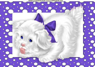 Cute White Puppy in Purple Spotty Frame A4