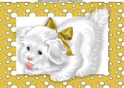 Cute White Puppy in Gold Spotty Frame A4