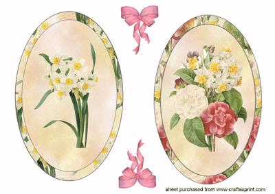 Elegant Oval of Daffodils & a Bouquet