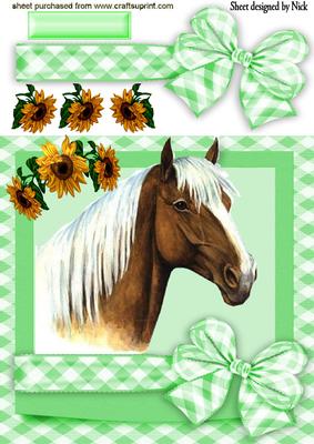 Beautiful Horse in Bow Frame with Sunflowers