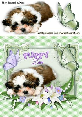 Puppy Love, Cute Little Puppy in Flower Frame