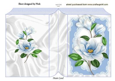 Beautiful Blue Flowers in Lace Frame Folded Book
