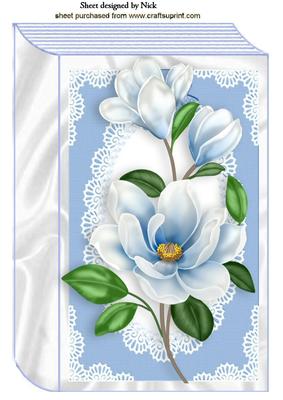 Pretty Blue Flowers in Lace Frame A4 Book
