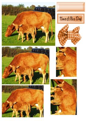 Cow and Her Baby Calf in the Meadows Pyramids