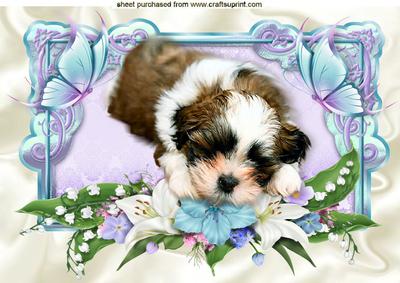 Sweet Little Puppy Sleeping with Flowers and Butterflies A4