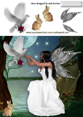 Fairie in Woodland with White Dove