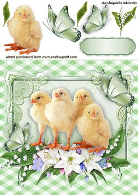 Little Yellow Chicks in Flower Frame with Butterflies