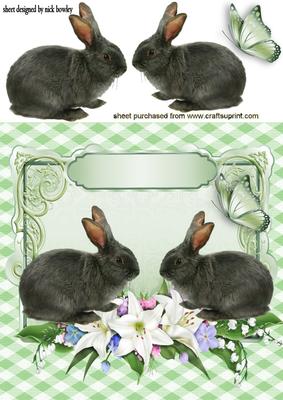 Cute Grey Bunnies in a Flower Frame with Butterflies