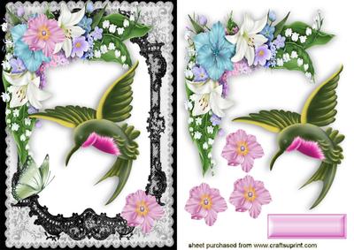 Fantasy Humming Bird in Lace Frame with Flowers
