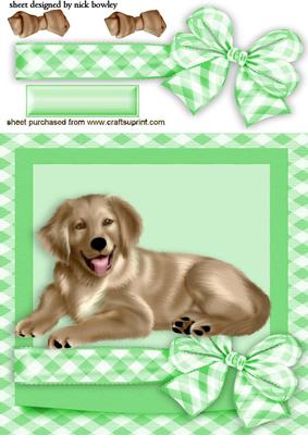 Golden Retriever in a Bow Gingham Frame