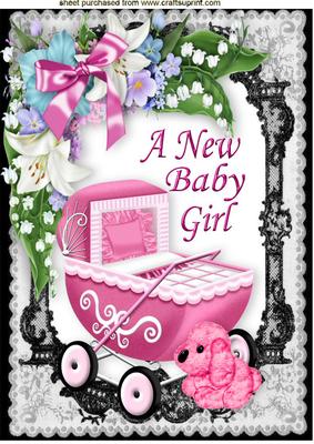 Baby Girls Vintage Pram with Flowers and Puppy in Frame A4