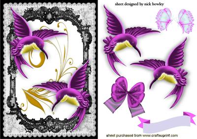 Beautiful Cerise Humming Birds in Lace Frame with Butterfly