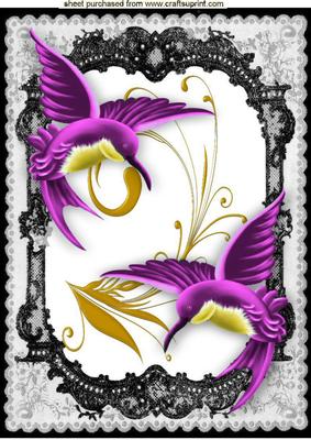 Beautiful Cerise Humming Birds in Frame with Butterfly A4