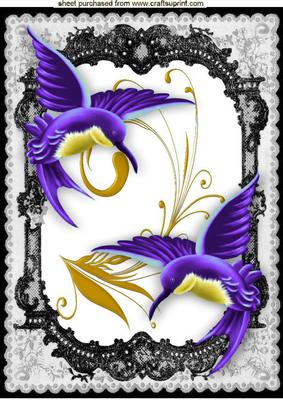Beautiful Purple Humming Birds in Frame with Butterflies A4