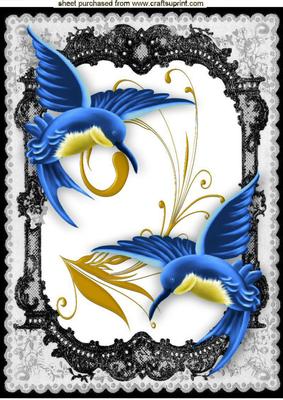 Beautiful Blue Humming Birds in Lace Frame A4