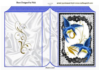 Beautiful Blue Humming Bird in Lace Frame Folded Book