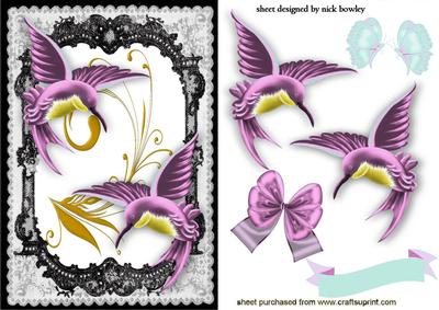 Beautiful Pink Humming Bird in Lace Frame