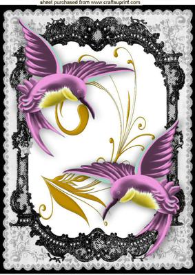 Beautiful Pink Humming Birds in Lace Frame A4