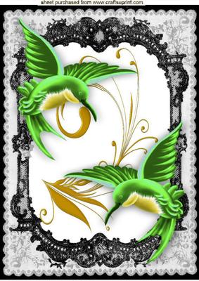 Beautiful Green Humming Birds in Lace Frame A4