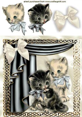 Vintage Kitten in Silver Ornate Frame with Drapes