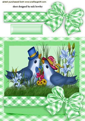 Cute Pair of Love Birds with Gingham Bow
