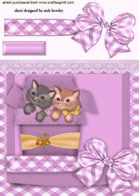 Cute Little Kitties in a Pink Box with Bow
